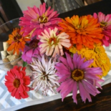 Flowers From the Garden